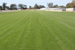 Eagle Farm Racecourse — Brisbane, QLD