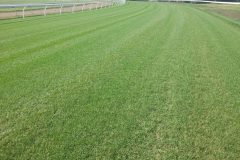 Ipswich Racecourse — Bundamba, QLD
