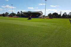 Toowoomba Sports Ground (Clive Berghofer Stadium) — Toowoomba, QLD