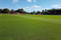 Toowoomba Sports Ground — Toowoomba, QLD