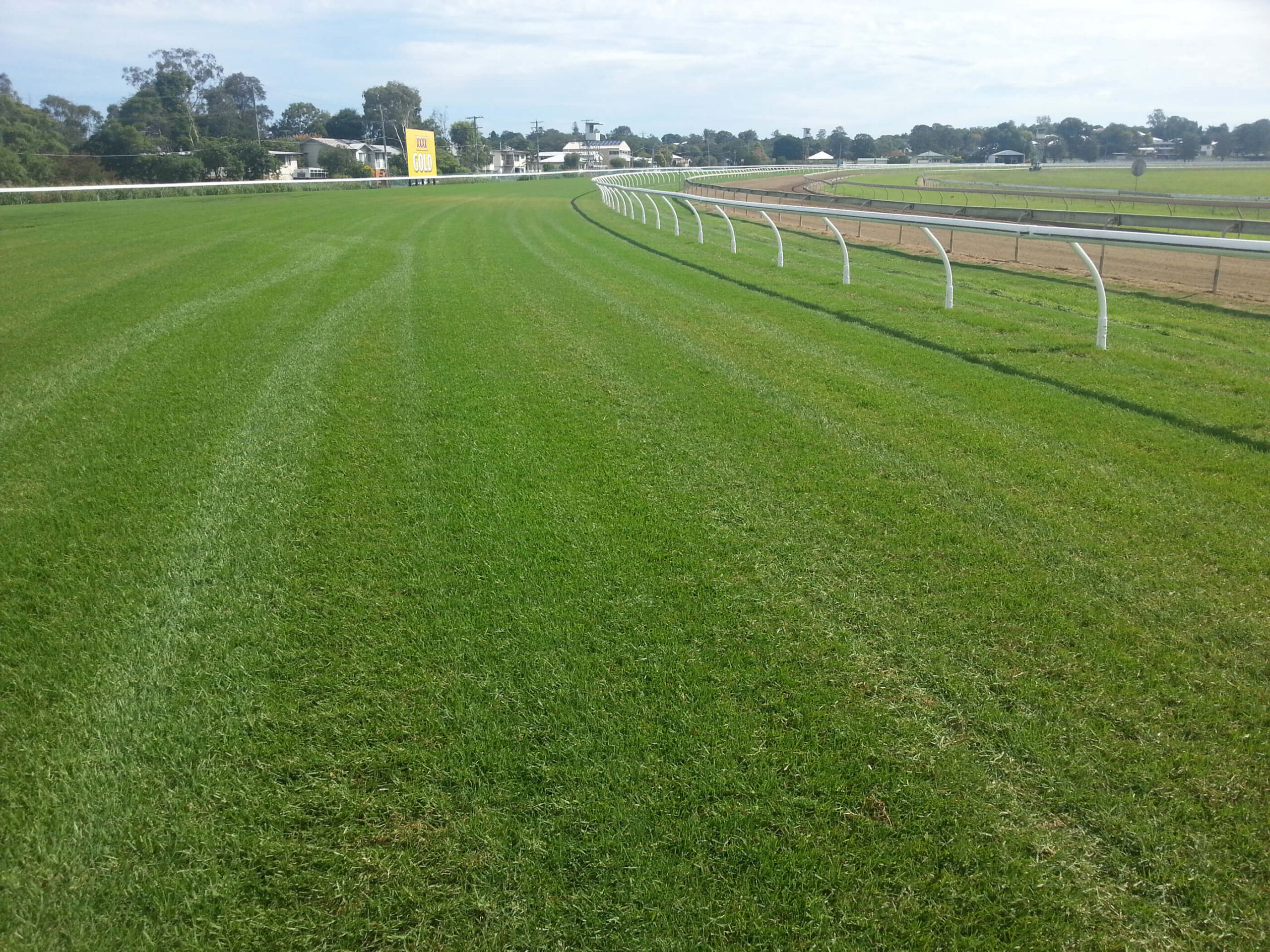 Oakridge Kikuyu showing strong foundation at Ipswich Racecourse